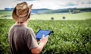 Jornada de Líderes Cooperativistas do AGRO propõe inovação e negócios